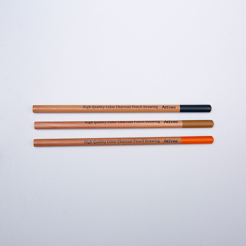 Lápices de Carbón de 24 Colores Prácticos